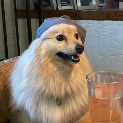 MezcladorDeAlma's profile picture. Bohemio Decepcionado