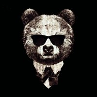 Black Bear Kiss(@blackbearkiss) 's Twitter Profile Photo