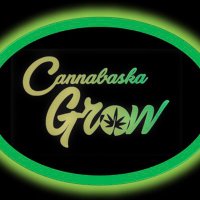 Cannabaska_Grow2.0(@Cannabaska_Grow) 's Twitter Profile Photo