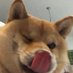 hh0neyy (@honey72333) Twitter profile photo hh0neyy (@honey72333) Twitter profile photo