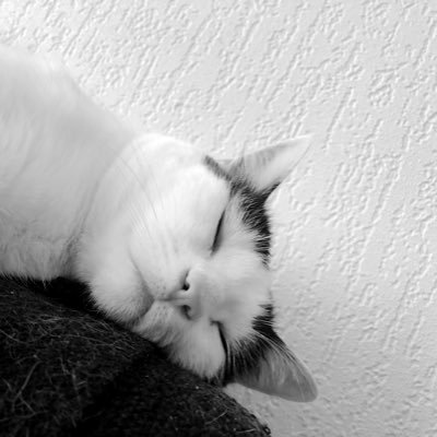 malicemystere's profile picture. 