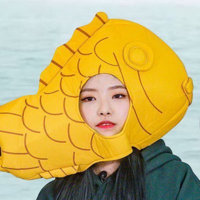 hyeju connoisseurさんのプロフィール画像