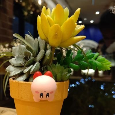 たかなし・Rさんのプロフィール画像