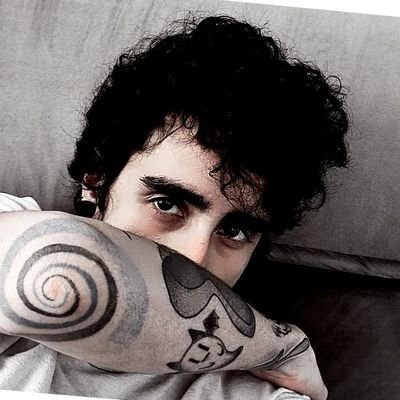 NAPSTABL00's profile picture. você já se perguntou, para onde os pássaros vão quando eles desaparecem de vista?