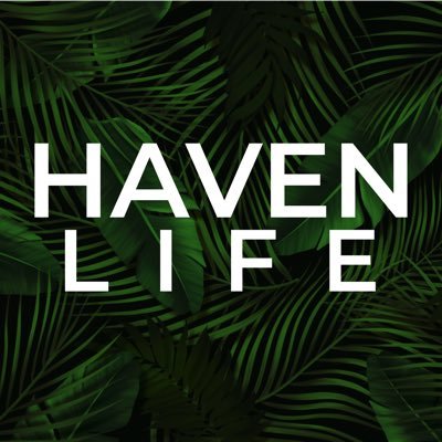 HavenLifeArma3's profile picture. 📎 Discord : https://t.co/LLxoD98XgZ                    📎 Forum : https://t.co/UH4Fdpecwz