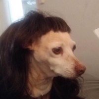 ✨ (@naur_boo) 's Twitter Profile