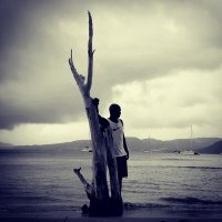 CC Chevalier (@ccchevalier3) 's Twitter Profile