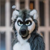 Foxle (@drakefoxle) 's Twitter Profile