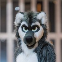 Foxle(@DrakeFoxle) 's Twitter Profile Photo