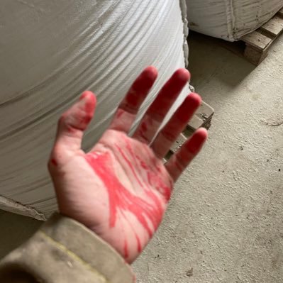 ecrivonous's profile picture. ma main dans t’as gueule