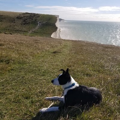 Greenwich resident, collie dog owner, often at parkrun.