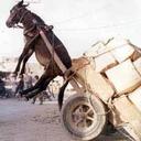 Abel Arredondo - @Abel__Arredondo - Twitter