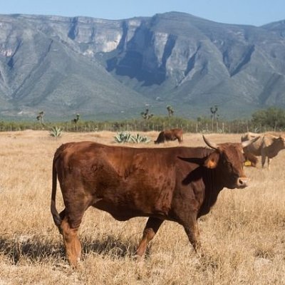 domainer78's profile picture. 