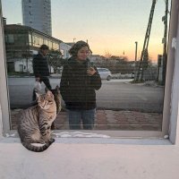 sartre'ın piposu (@katarsisteles) 's Twitter Profile