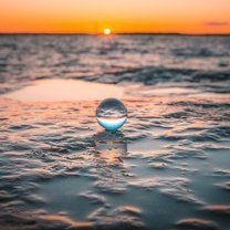 vocvt98922398's profile picture. 