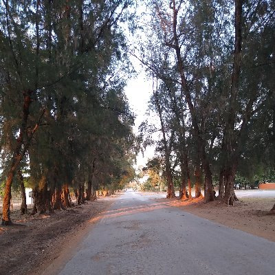 Leonard18466270's profile picture. Vendo contenido sigueme y te sigo