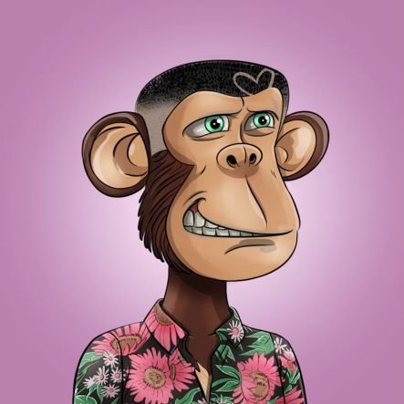 waelibra_99's profile picture. 