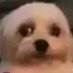 lucas (@0xvasconcelos) Twitter profile photo lucas (@0xvasconcelos) Twitter profile photo