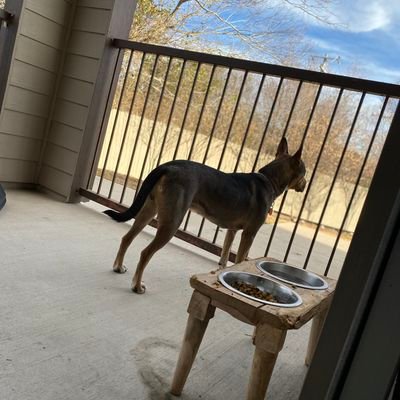the_boi0's profile picture. 