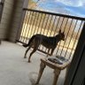 the_boi0's profile picture. 