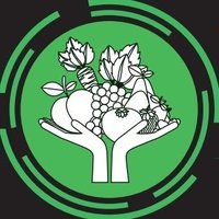 The Fruit and Veg Man (@fruitandvegman) 's Twitter Profile