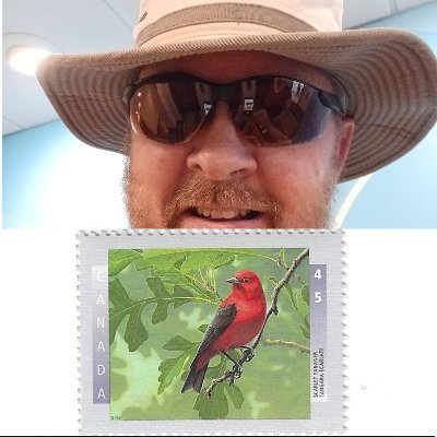 Computer programmer (c), postage stamp collector for 55 years, history buff. I write my own album pages using C and custom database. I collect used on paper.