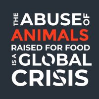 Global Cage-Free Campaigns (@globalcagefree) 's Twitter Profile