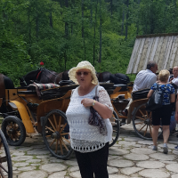 Danuta Nowak-Słotwińska (@nowakotwinska) 's Twitter Profile