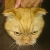 tky (@tky_apps) 's Twitter Profile