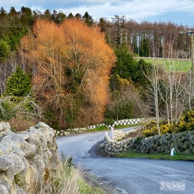 antwi_ronard's profile picture. I am a simple guy