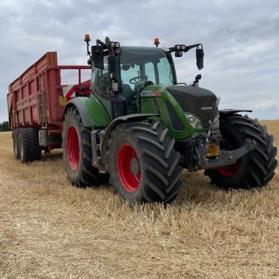 jeschpt's profile picture. Paraclet 🌾