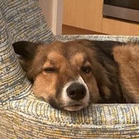 Cllr James Humphreys (@humphreys) 's Twitter Profile Photo
