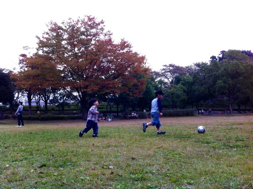 tubu80's profile picture. 2人の息子がいるママです。