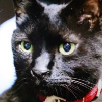 ももちゃん (@8wlyu09ajdd5mog) 's Twitter Profile