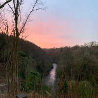 Deborah (@fakingwellness) 's Twitter Profile