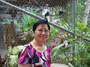 virgie_ch's profile picture. PRC Registered Real Estate License Broker # 3823
- Into sale of prime residential and commercial LOTS developed by Sta Lucia Realty