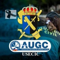 Comisión USECIC de AUGC(@AUGC_USECIC) 's Twitter Profile Photo