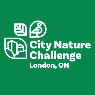 Information for the London ON City Nature Challenge  - April 28 - May 1st
Get ready to explore nature in The Forest City!