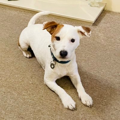 nat71985's profile picture. Disabled Wheelchair user Living with #Erythromelalgia 💙 #MCFC & #Indie