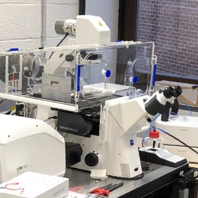 Official account of Morph-Im platform, the bioimaging core facility of @UNamur 🔬🧫🧪🧬