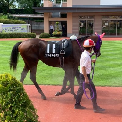 地方競馬の代表として地方競馬の馬主の利益の最大化を目指すため、Twitterをはじめました。賛否両論あるかと思いますが、応援よろしくお願いいたします。