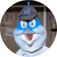 Baseball Card Brothers (@bsblcardbros) 's Twitter Profile