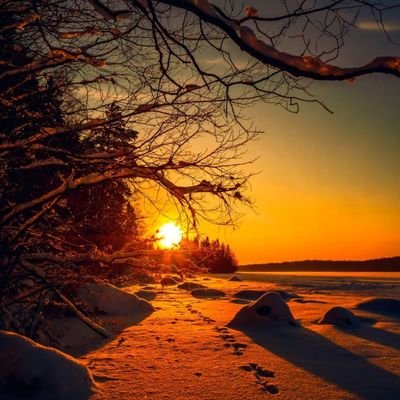 cl13309641's profile picture. 