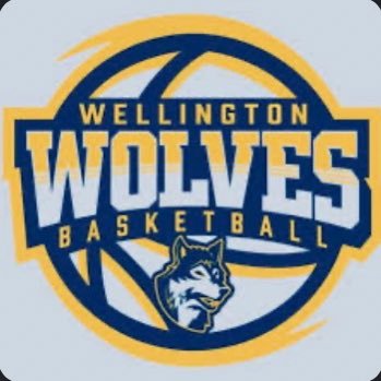 Wellington Wolves Travel Basketball 11th grade team