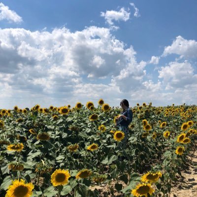 Ph.D Candidate LLE | Turkish-American | Teacher | I am rooted, but I flow.