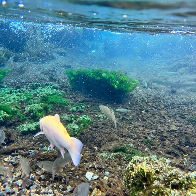 simo62477270's profile picture. 