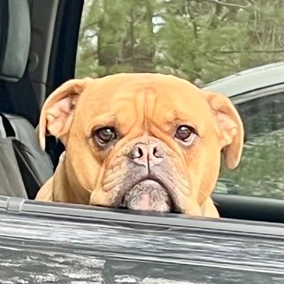 doughal77647685's profile picture. Thankful for all that God has provided to me and my family.. Family, Friends, God and Country… God Bless America