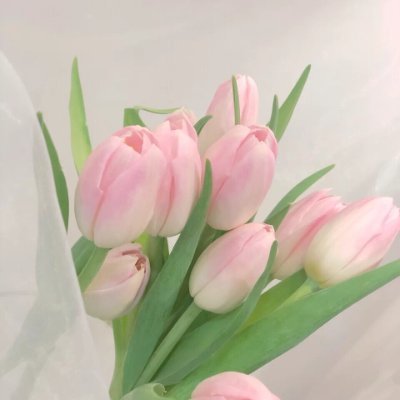 manoharkhot3's profile picture. The flower shop is closed, but the flowers continue to bloom.