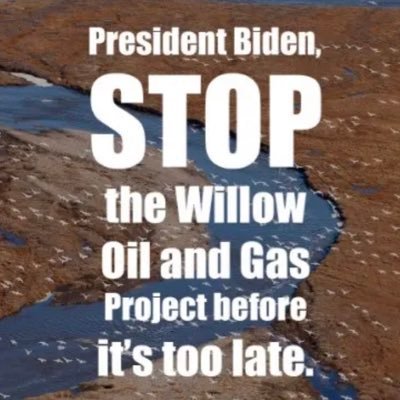 reoisd's profile picture. #StopWillow #stopwillow #earth