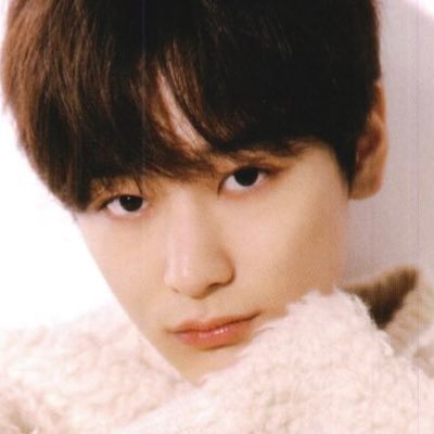 jjulover115's profile picture. 고양이와 낭만